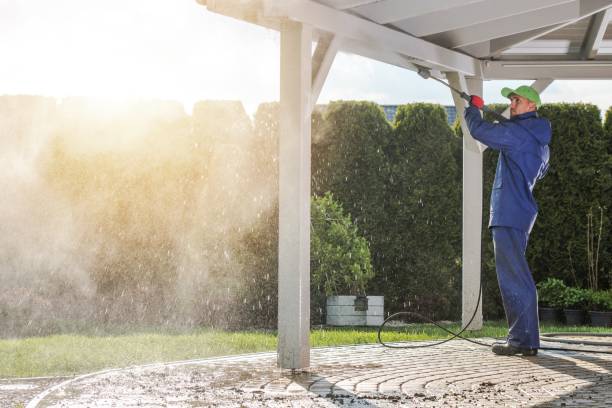 Animal Enclosure Cleaning in Elk River, MN