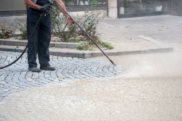 Best Gutter Cleaning  in Elk River, MN